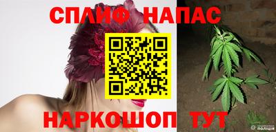 сатива Ярославль