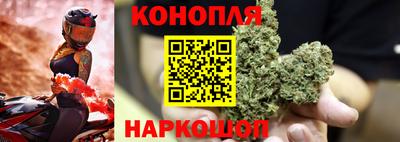 сатива Ярославль