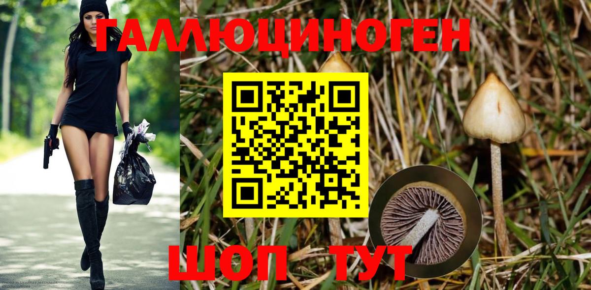 Псилоцибиновые грибы MAGIC MUSHROOMS Видное