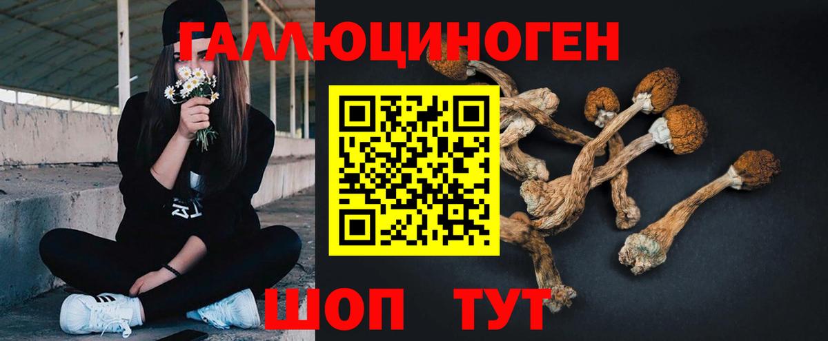 Псилоцибиновые грибы ЛСД  Вход с VPN  Псилоцибиновые грибы GOLDEN TEACHER  Видное 